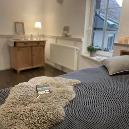 Apartes Altstadt-appartement Mit Spitzboden *