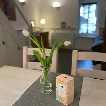 דירה Apartes Altstadt-appartement Mit Spitzboden